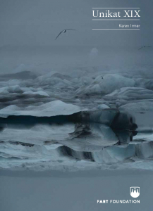 Unikat_XIX _145x200_Karen_Irmer_08_Seite_01 Unikat Ausgabe XIX Karen Irmer und Sean Scully